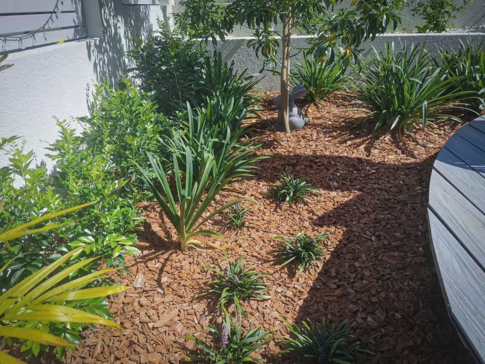 Design ideas for a contemporary garden in Sydney.