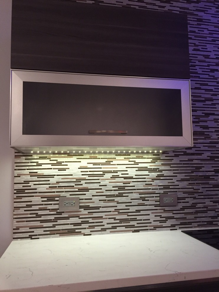 Transitional basement photo in Chicago