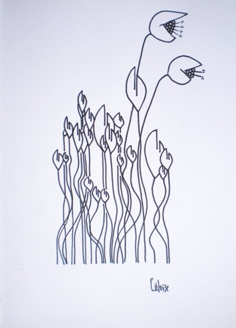 VEGETAL classique