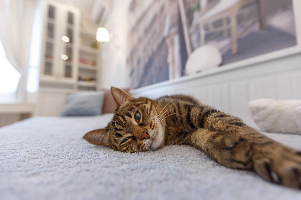 Дизайн квартиры на ул. Ульяна Ленина