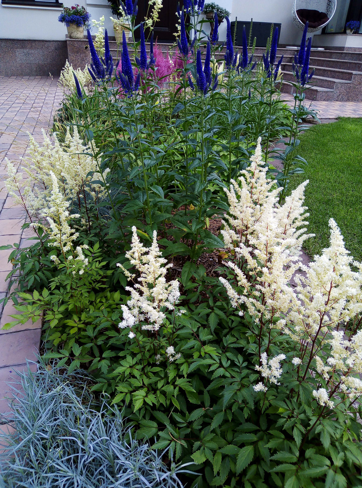 Цветники под пологом леса