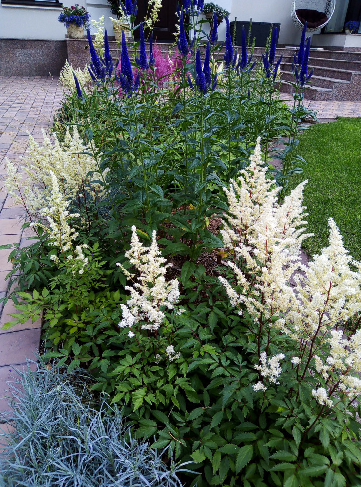 Цветники под пологом леса