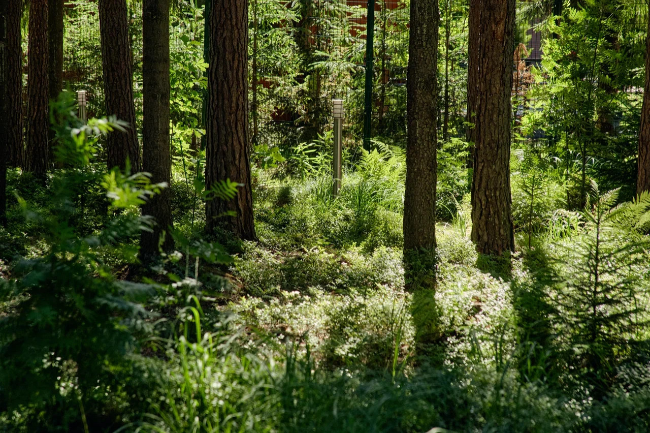 Охтинский сад