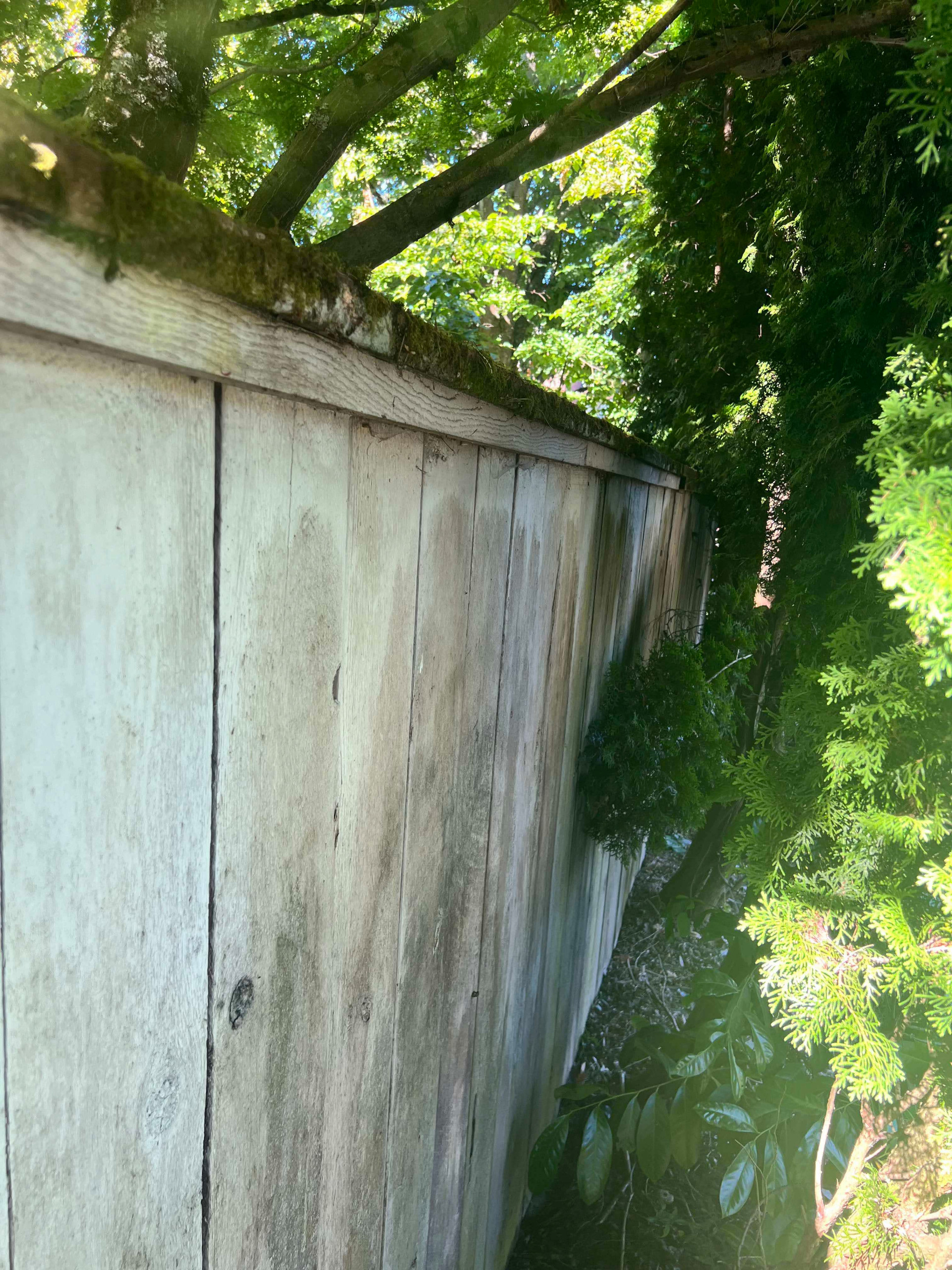 Exterior House Painting