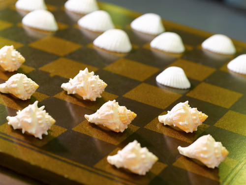Sea Shell Checkers