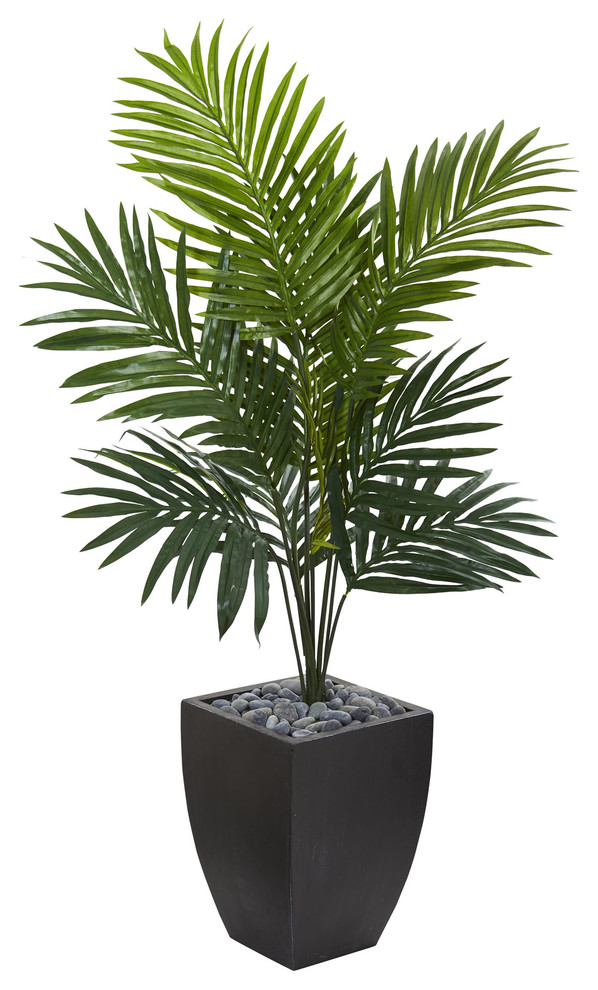 4.5' Kentia Palm Artificial Tree, Black Wash Planter Traditional
