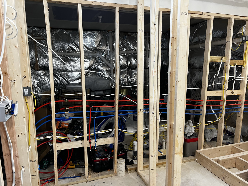 Basement Remodel