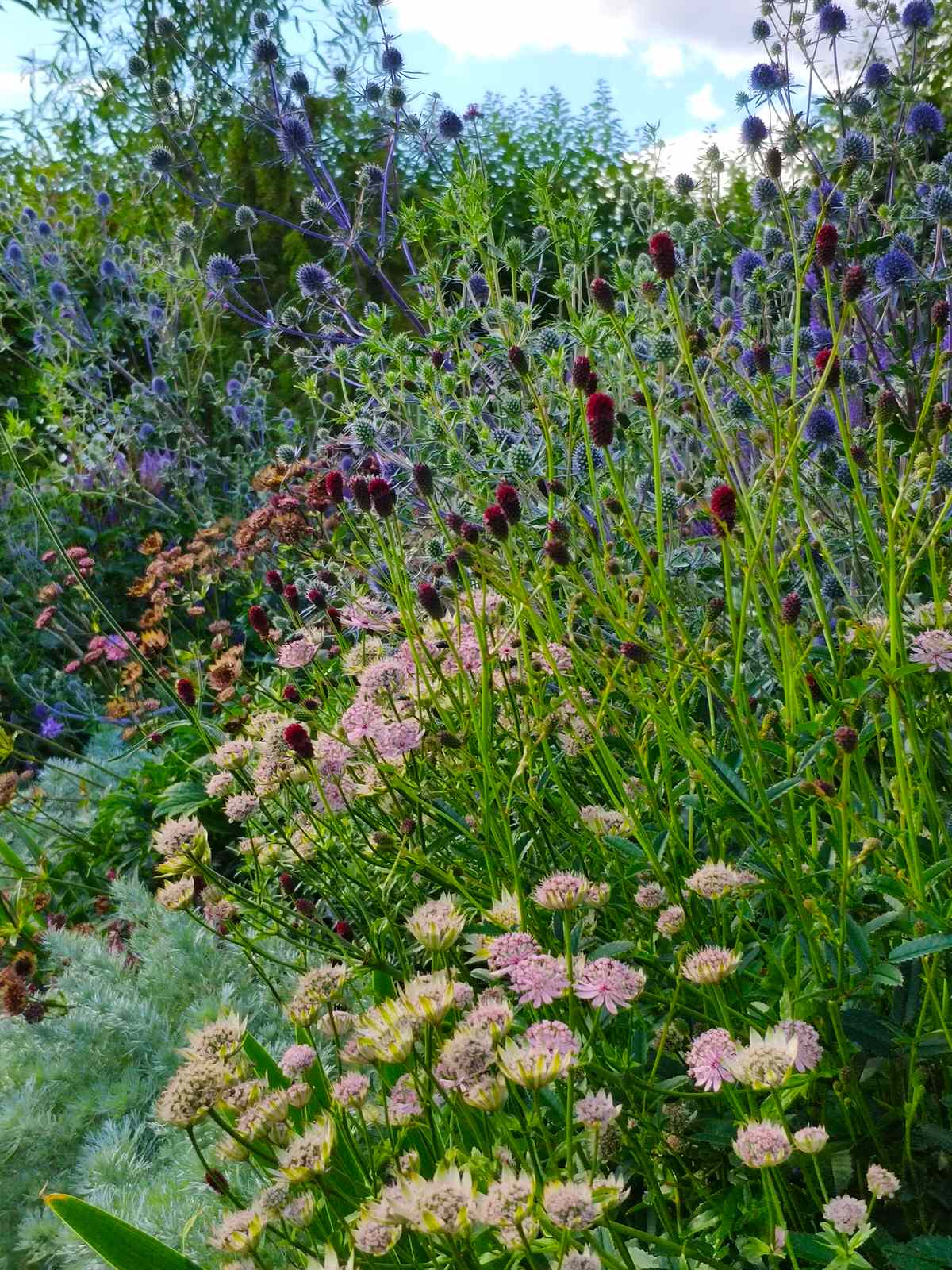 "Экспериментальный" сад любителя растений