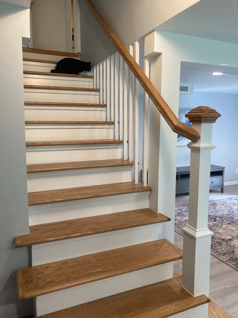 Ravenna Basement Build/Remodel
