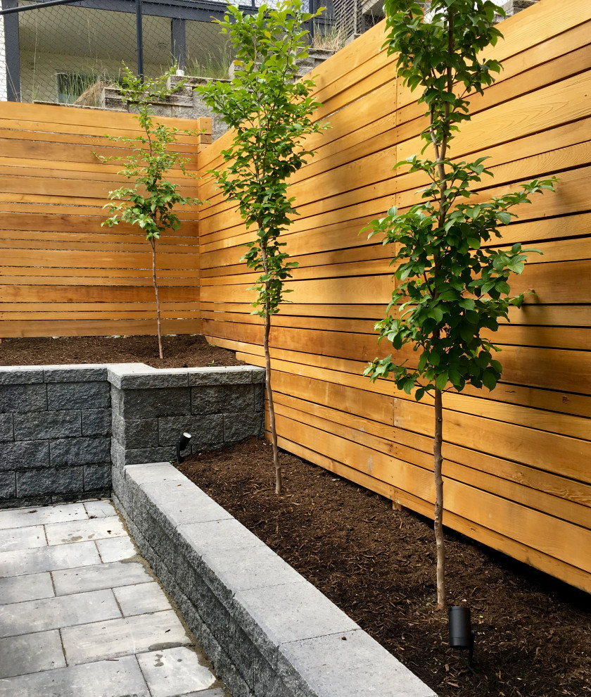 This is an example of a mid-sized modern backyard full sun garden for spring in Vancouver with a wood fence, with privacy feature and mulch.