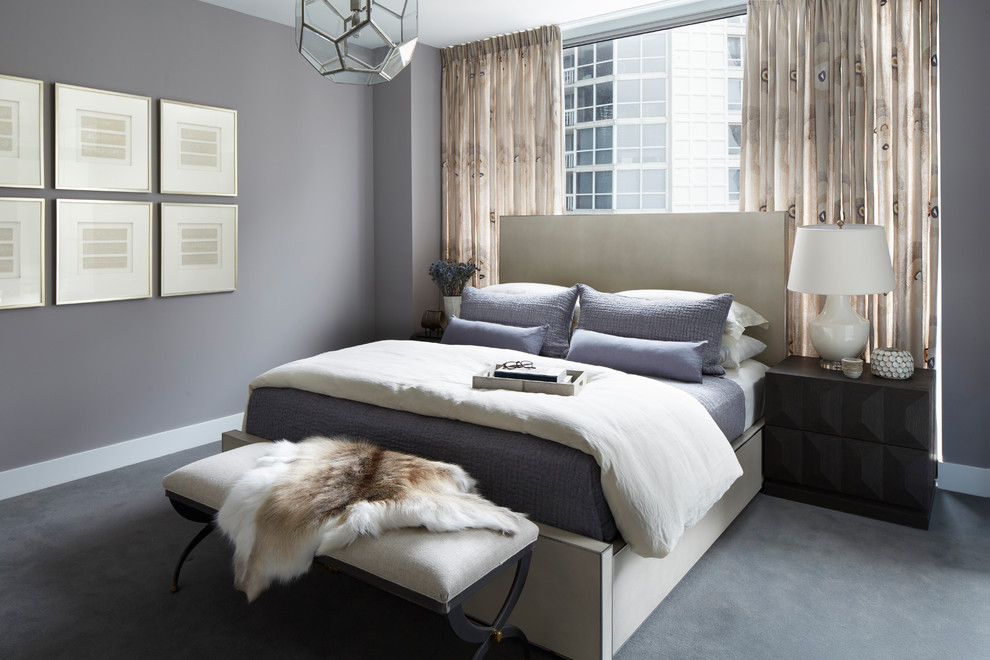 Inspiration for a transitional bedroom in Chicago with grey walls, carpet and grey floor.