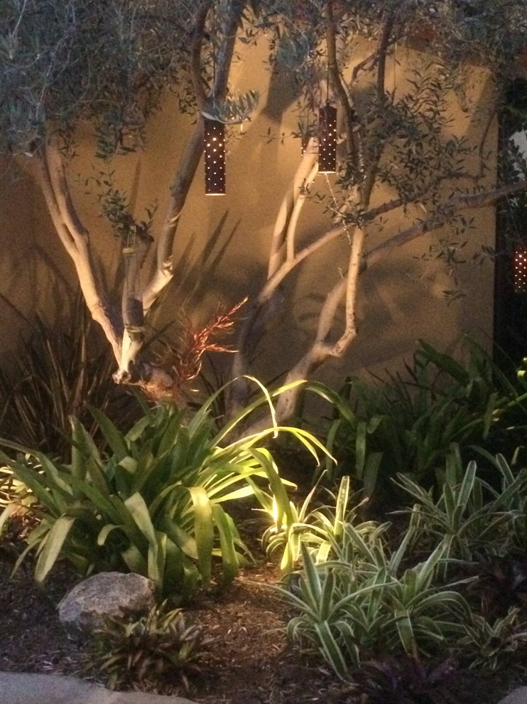Design ideas for an eclectic courtyard partial sun garden in San Diego.