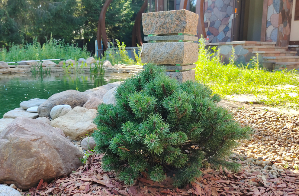 Николина гора