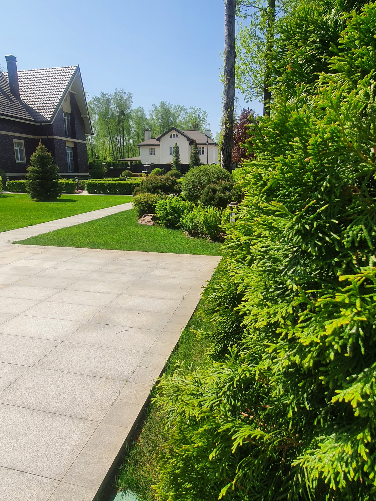 Летова роща