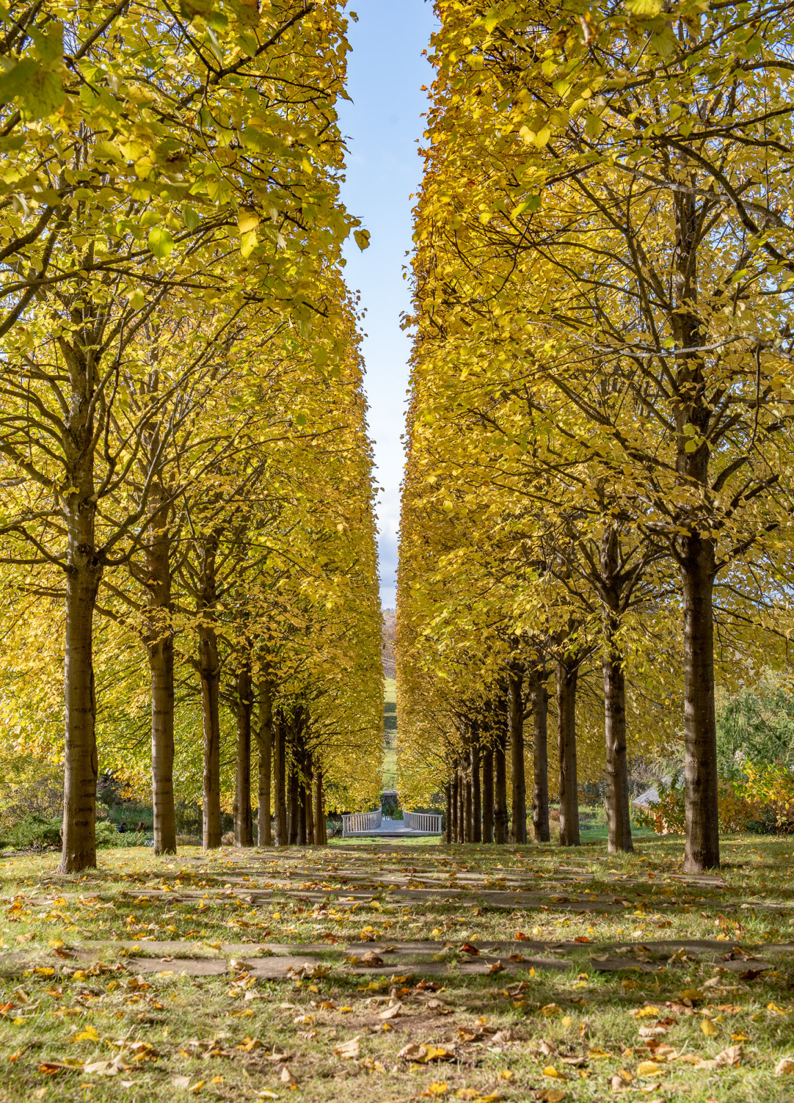 Ореховно. Музей-Усадьба.