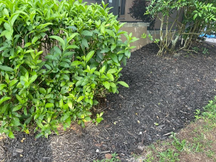 New Fresh Mulch