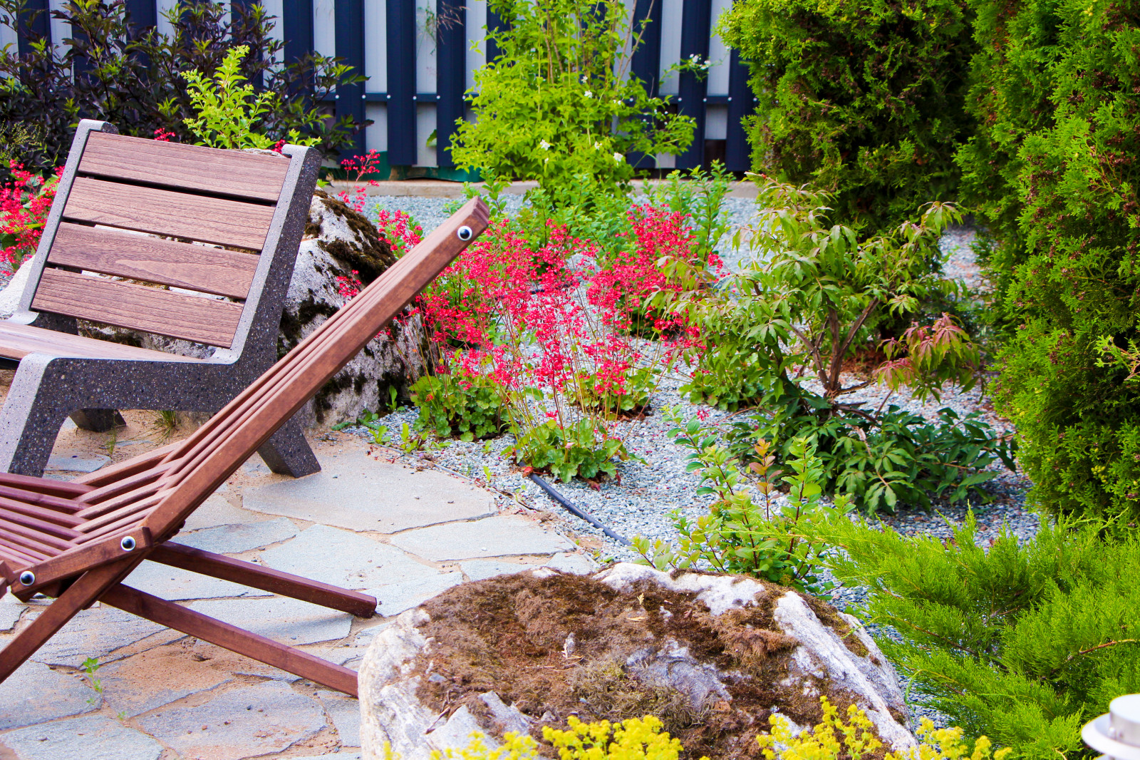 Лесной, 2022 г.