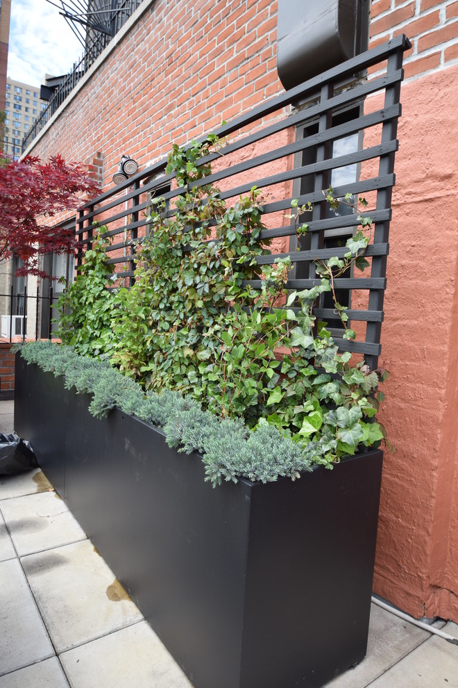 Mid-sized modern rooftop deck in New York with a container garden and no cover.