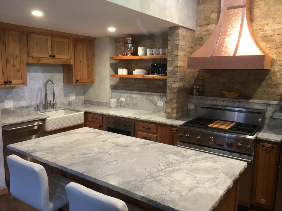 Mid-sized transitional home design photo in Chicago
