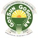 GotSun GoSolar