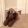 tom_jones17