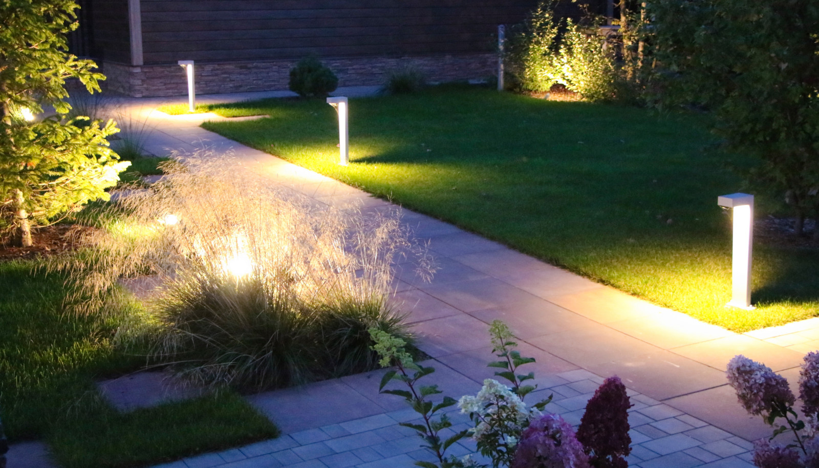 Петровское, ночной сад, 2018-2020 гг.