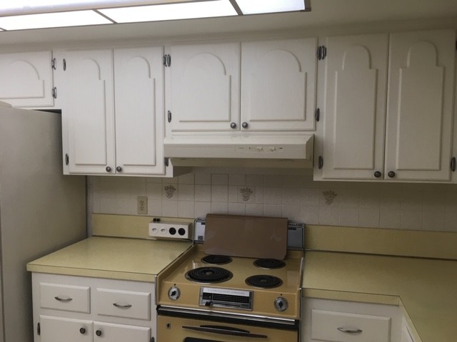 Schweitzer's painted kitchen