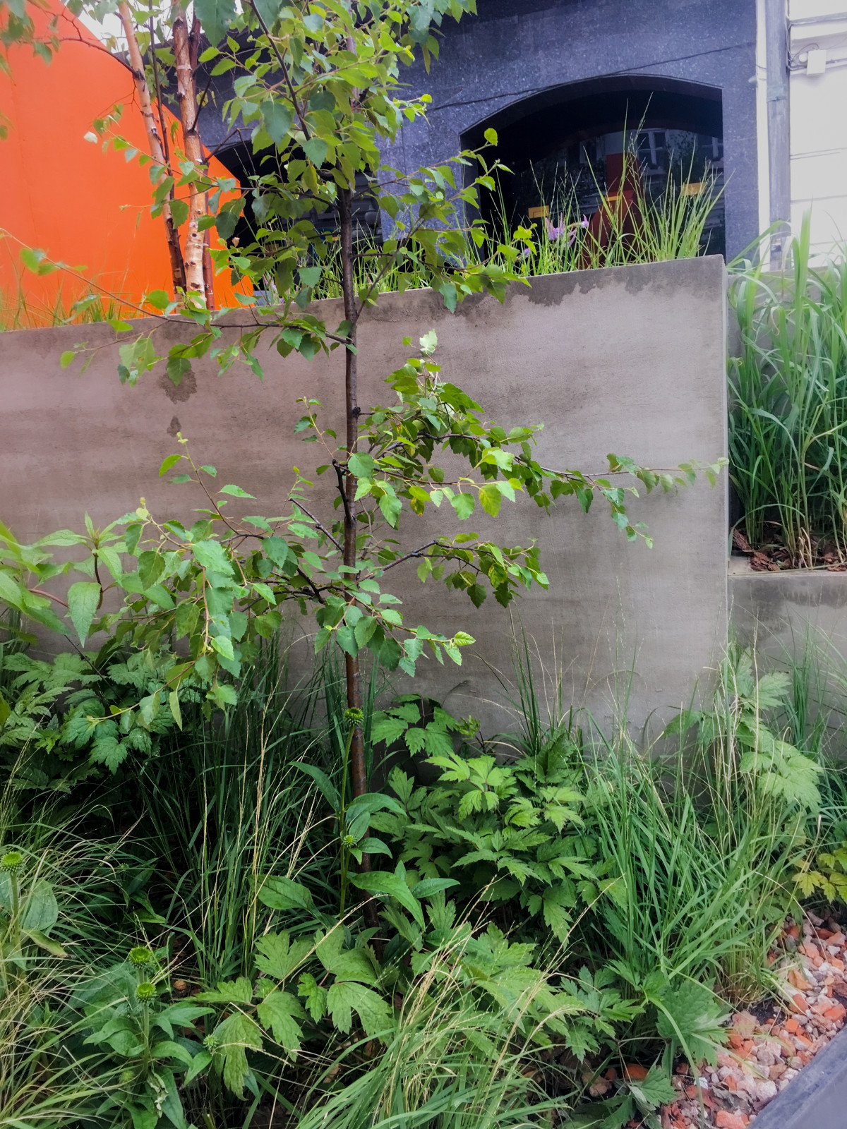 Выше крыши. Цветочный джем