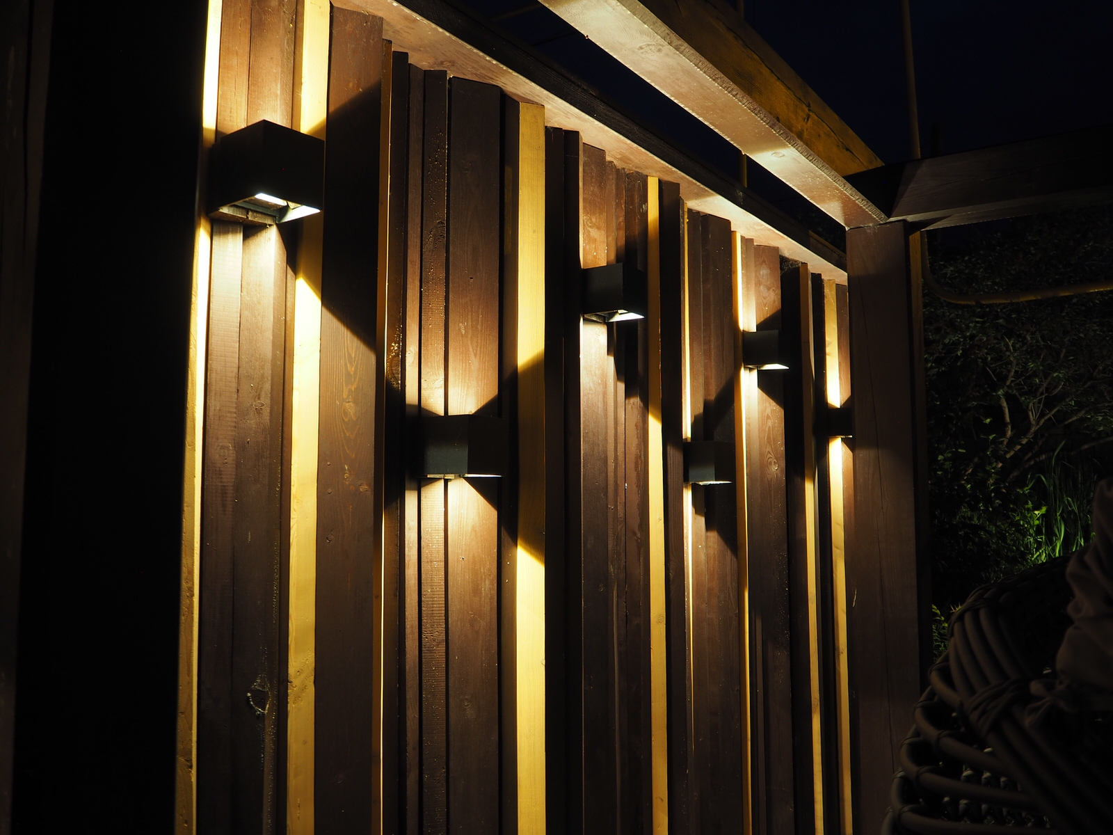 Сад с розами