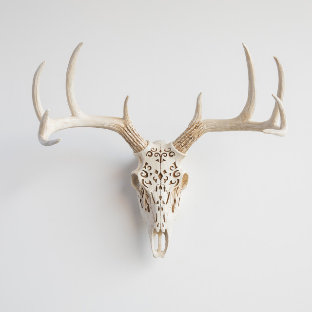 Faux Deer Skull Wall Decor Natural Realistic Rustic Sculptures By Near And Houzz - Faux Animal Skull Wall Decor