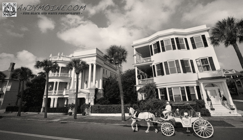 Horse Drawn Carriage Bay Street - Charleston - South Carolina