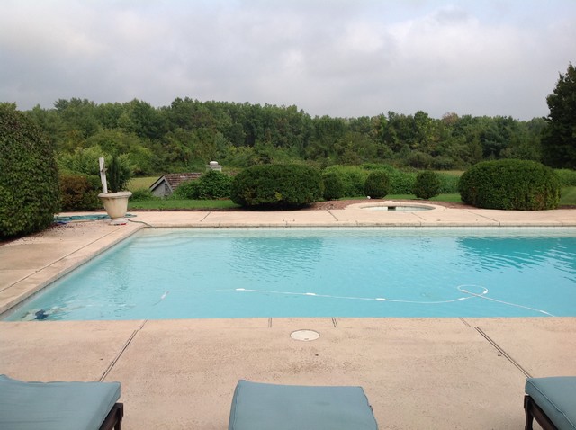 Before & After contemporary-swimming-pool