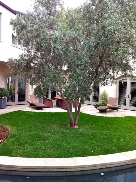 Contemporary La Jolla - landscape architecture, courtyard, pool