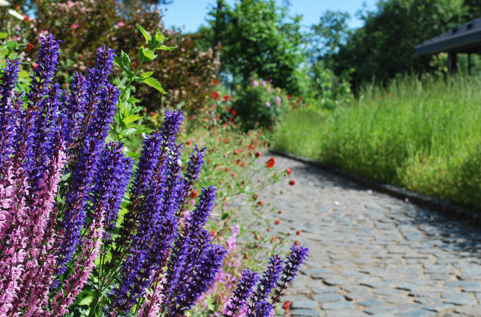 Сад натуралистического стиля