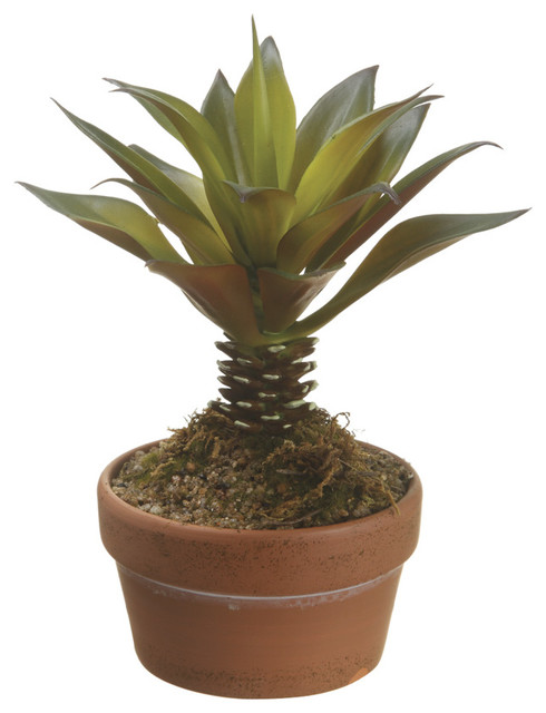 Silk Plants Direct Agave, Pack of 4