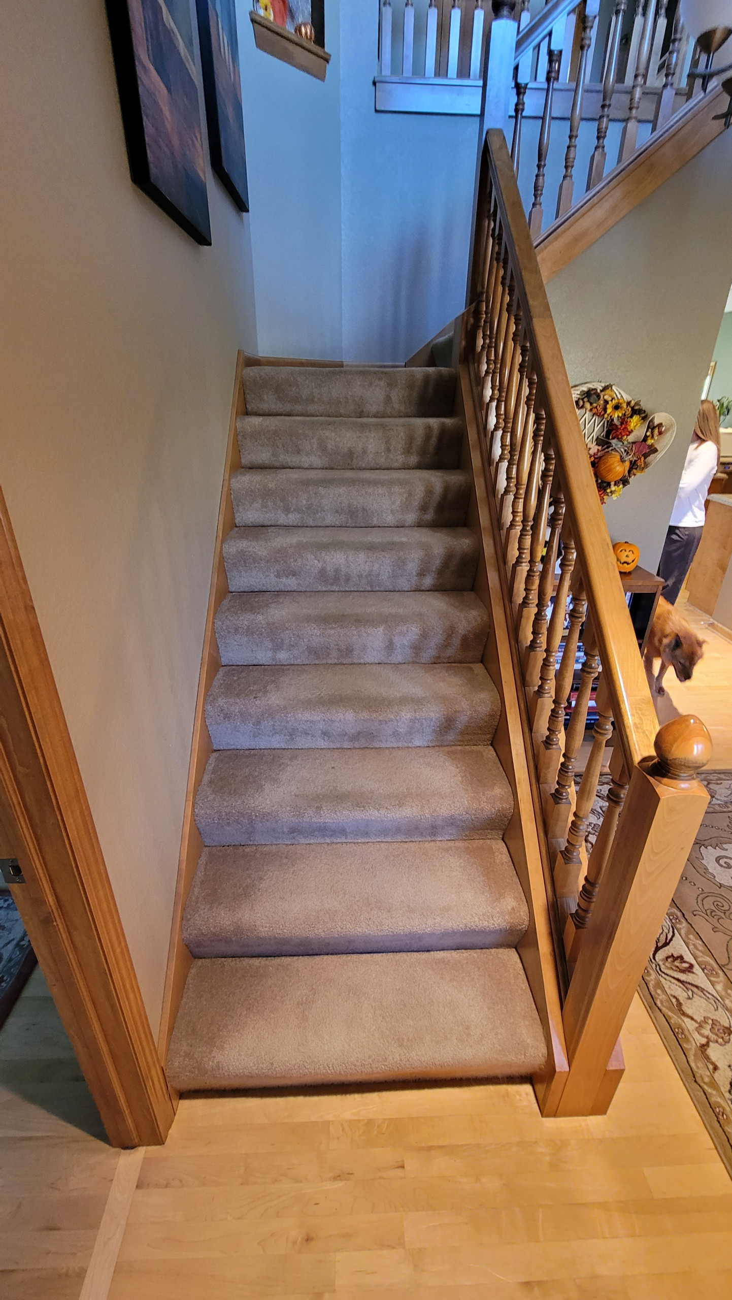 New Berlin Residence - Updated Handrail