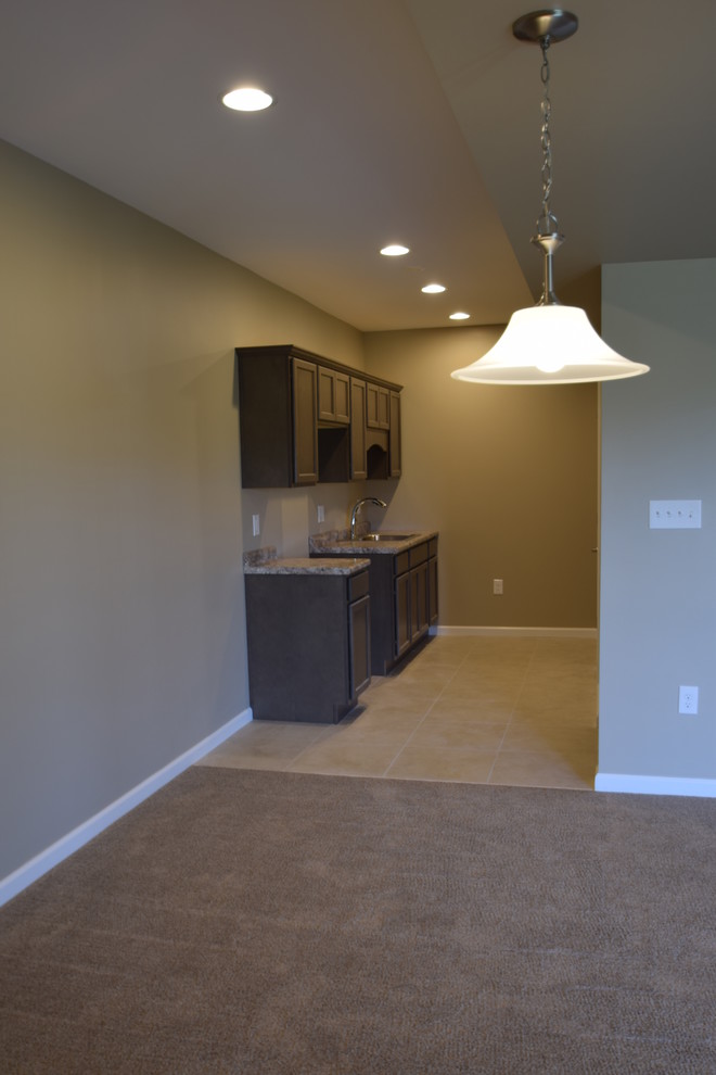 Inspiration for a mid-sized transitional walk-out basement in Other with brown walls and carpet.
