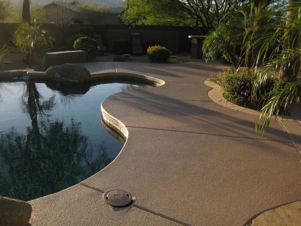 Pool - mid-sized backyard custom-shaped pool idea in Phoenix