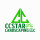Ccstar landscaping LLC