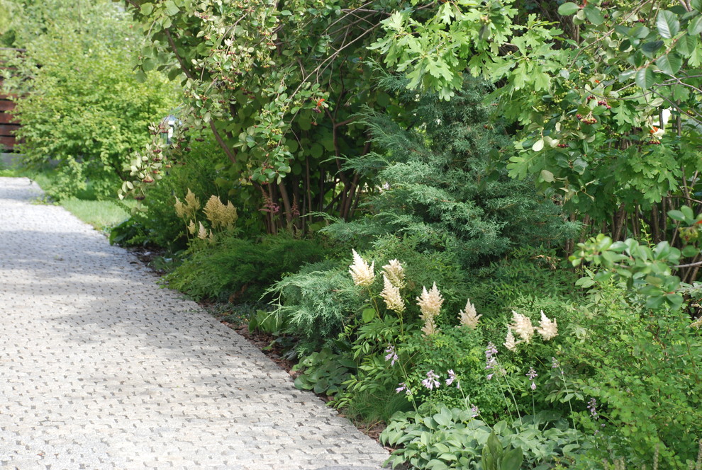 Современный сад в КП "Променад"