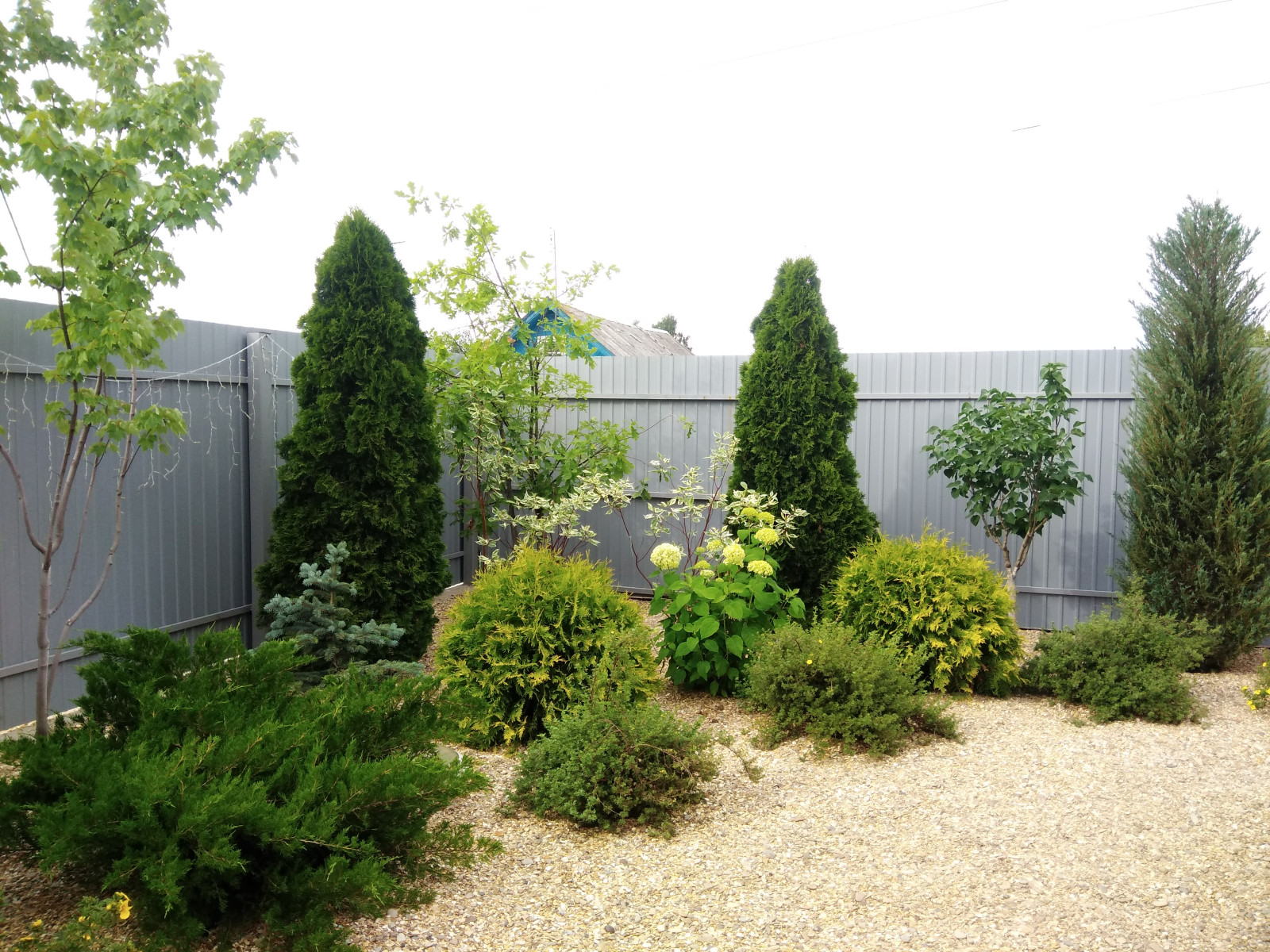 Фотографии с объектов