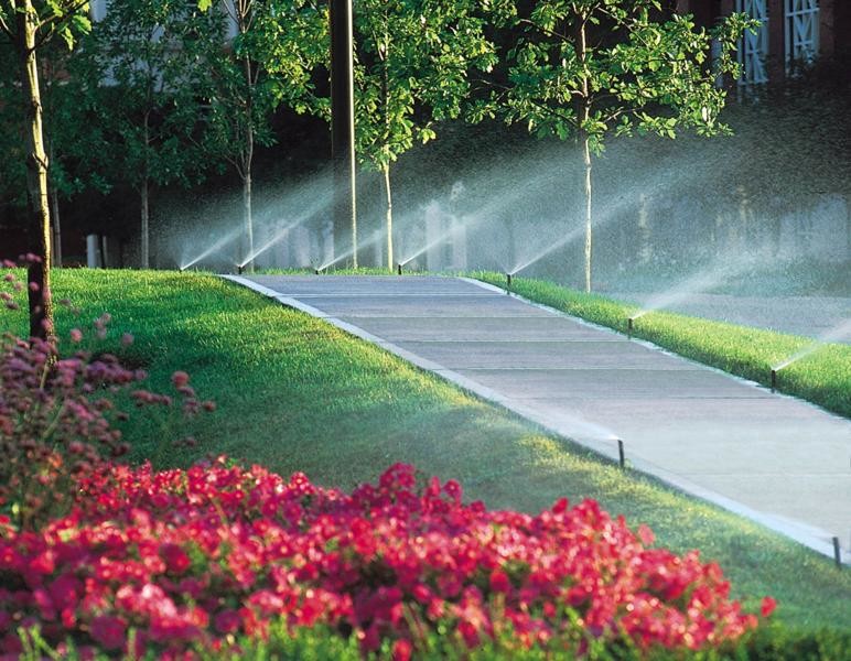 Photo of a garden in New Orleans.