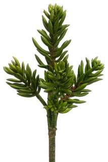 Silk Plants Direct Senecio Spray Green Pack Of 6 Artificial Plants And Trees By Silk Plants Direct