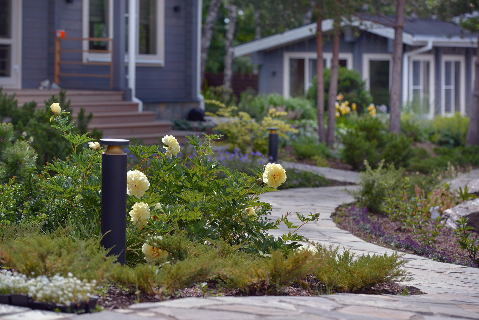 Озеро в лесу. Посёлок Приволье.