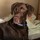 mary_roberts16
