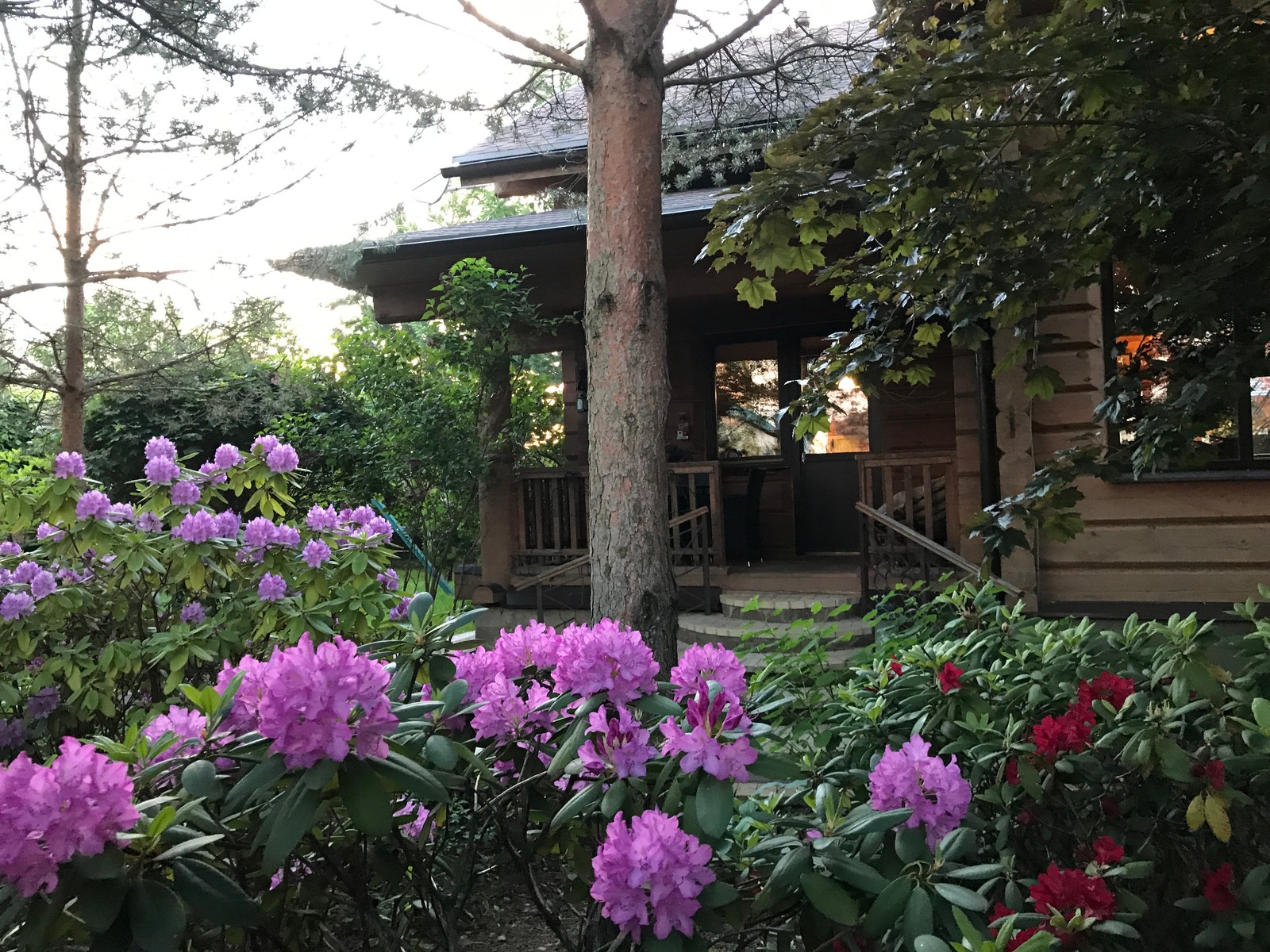 Буйство красочных форм в осеннем саду