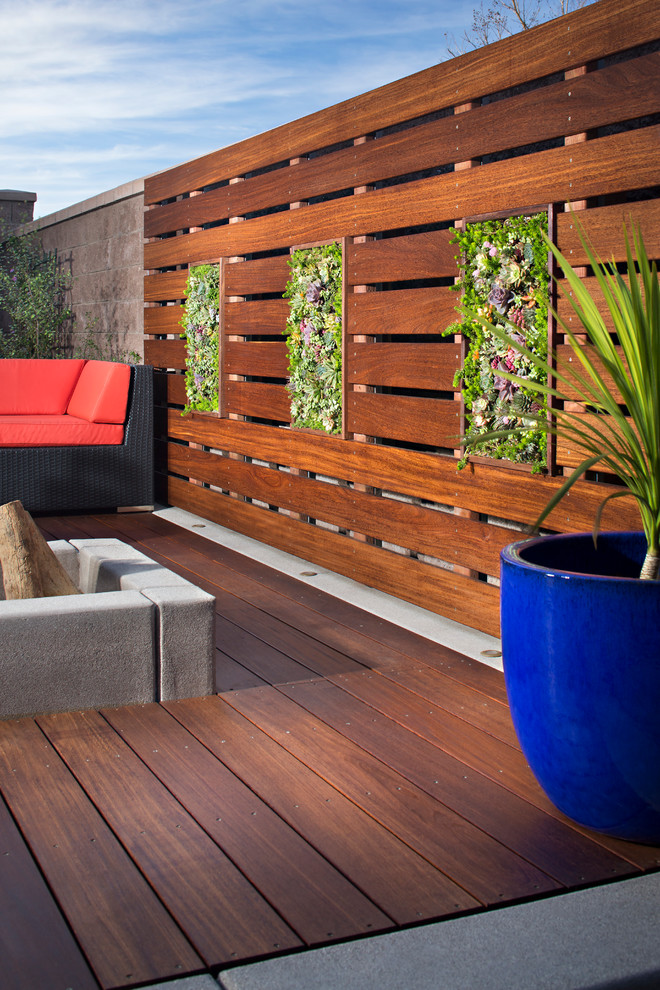 Design ideas for a small contemporary backyard partial sun garden for spring in San Diego with a vertical garden and decking.