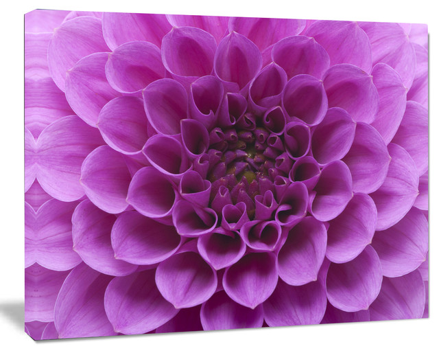 Large Light Purple Flower and Petals, Floral Canvas Art Print, 60"x28"