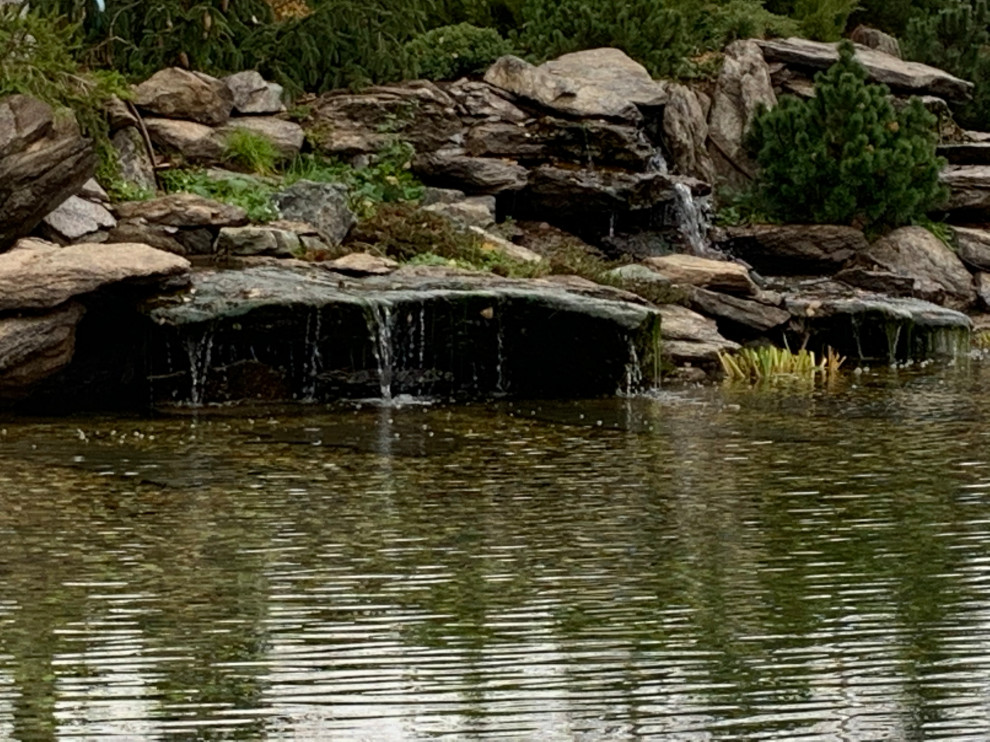 Проект сада с водоемом
