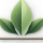 Landscaping Saskatoon Pros